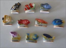 Oc�anarium - Alcara - F�ves Brillantes - 2008