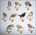 Pr�sentation de la collection