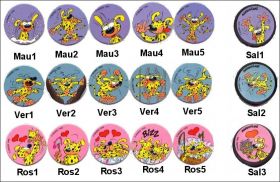 Marsupilami - Pogs Quick