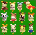 Prsentation de la collection