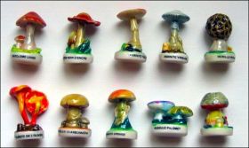 Champignons - Fves