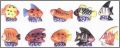 Poissons exotiques - Succa - F�ves Brillantes - 1998