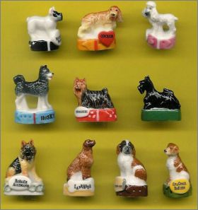 Les chiens - F�ves Brillantes - 2014