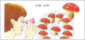 kaleidoscope rose  - K94-64 - Kinder Surprise - 1994