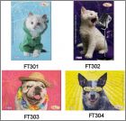 Pr�sentation de la collection