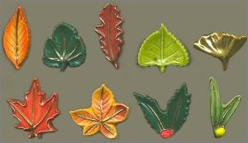 Secrets d'arbres - F�ves brillantes - 2009