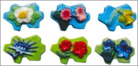 Fleurs - 6 Fves Brillantes - Vdre / Prime - 2013