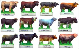 Vaches de Race - 12 F�ves mates - Arguydal - 2013