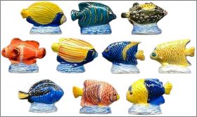 Poissons exotiques - 10 F�ves Brillantes - 2001