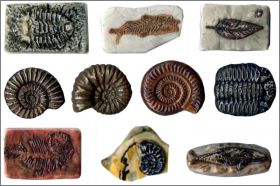 Les fossiles - 10 F�ves Brillantes - Epi folie - 2005