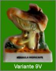 Variante 9V