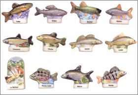 P�che en eau douce - F�ves Brillantes - Prime - 2008