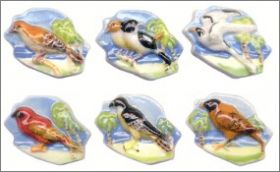 La R�union - F�ves Brillantes - Prime - 2009