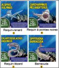 D�tail poissons N�5 au N�8