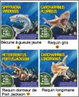 D�tail poissons N�9 au N�12