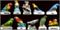Les Perroquets - 10 F�ves Brillantes - 2018