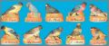 Oiseaux de nos r�gions - 10 F�ves Mates  H.E.P.  2005