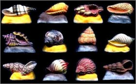 Les coquillages - 12 F�ves Mates -  2009