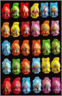 Coques N31/60  60/60