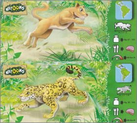 F�lins - Kinder Natoons - DV049 et DV050 - 2019