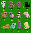 Pr�sentation de la collection