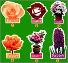 Pr�sentation de la collection