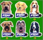 Pr�sentation de la collection