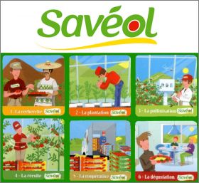 La vie des fraises - 6 Magnets - Savol - 2010