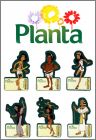 Papyrus - 6 Magnets - Planta - 1999 - Belgique