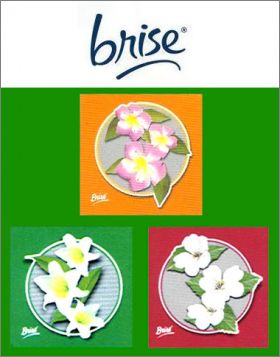 Parfums de fleurs - 3 Magnets - Brise - 2005