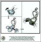 Exemple de BPZ Verso