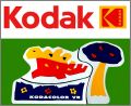 Kodacolor VR - 1 magnet puzzle - Kodak  - 1998