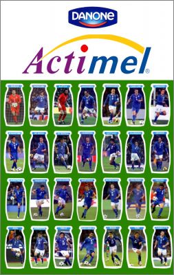 quipe Nationale Football  28 Magnets Actimel - Danone 2010