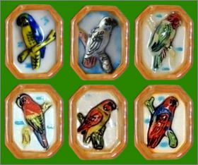 Les perroquets - 6 Fves Brillantes - Nordia - 2003