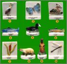 Prsentation de la collection