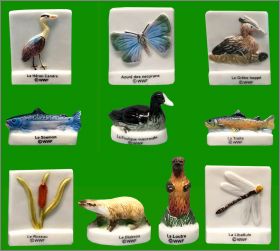 WWF Prservons l'eau douce 10 Fves brillantes Champion 2003