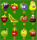 Prsentation de la collection