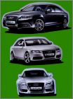 3 magnets - Audi - 2012