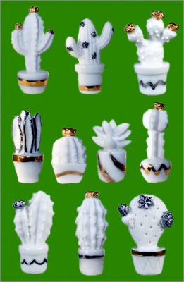 Cactus Dco - 10 Fves Brillantes - Prime - 2020