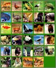 Animaux - 29 Magnets Kostici Danone srie 1 - 2007 Tchquie