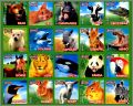 Animaux - 20 Magnets Kostici Danone srie 2 - 2008 Tchquie