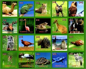 Animaux - 20 Magnets Kostici Danone srie 3 - 2009 Tchquie