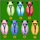 Prsentation de la collection