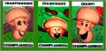 3 magnets - Champi-Jandou - 1993