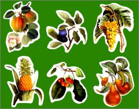 Fruits - 6 Magnets - Flammarion (Editions) 2001