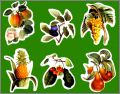 Fruits - 6 Magnets - Flammarion (Editions) 2001