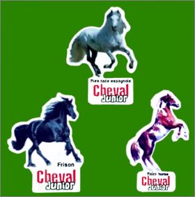 Cheval Junior - 3  magnets -  2011