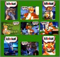 9 Magnets - Kitekat -  Masterfoods 2003