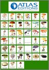 Champignons - 39 Magnets - ditions Atlas - 2004
