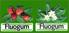 2 Magnets - Fluogum - 2000